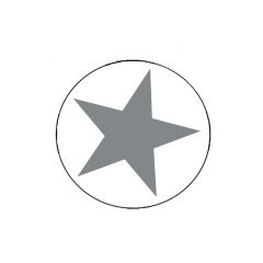 Etikett rund stjärna matt silver