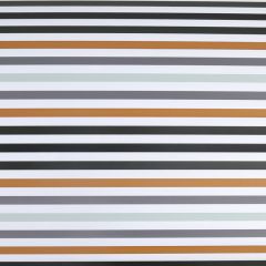 Presentpapper Autumn Stripes