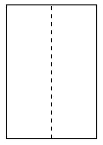 STE transportetikett laser 105 x 297 mm